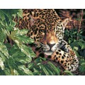 Леопард Раскраска картина по номерам на холсте