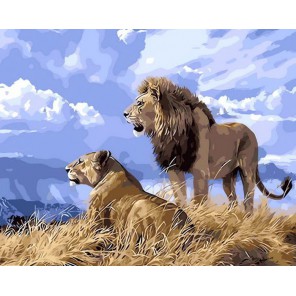 Львы Раскраска картина по номерам акриловыми красками на холсте Menglei