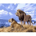 Львы Раскраска картина по номерам на холсте Menglei