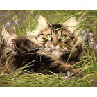 В мире кошек Раскраска картина по номерам акриловыми красками на холсте Menglei