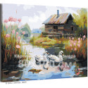 Пара маленьких лебедей в пруду у дома Птицы Любовь Природа Пейзаж Деревня 80х100 Раскраска картина по номерам на холсте