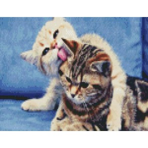 Котятки Алмазная мозаика на подрамнике Цветной