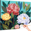 Разноцветные пионы Цветы Растения Природа Интерьерная Раскраска картина по номерам на холсте