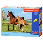Лошади Пазлы Castorland