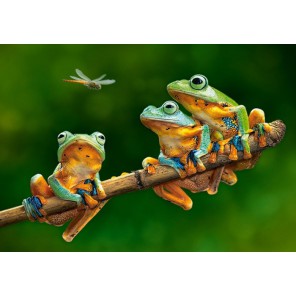 Лягушки Пазлы Castorland