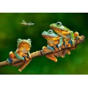 Лягушки Пазлы Castorland