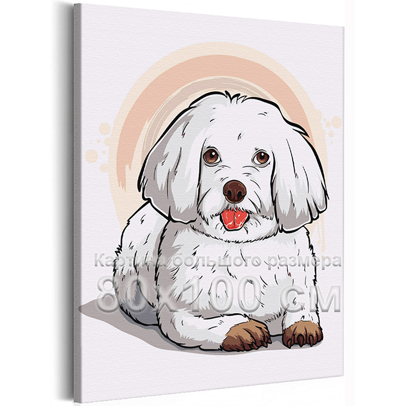 AAAA-Q1889-80x100 Белая болонка Животные Собаки Для детей Для девочек Для  мальчика 80х100 Раскраска картина по номерам на холсте недорого купить в  интернет магазине в Краснодаре , цена, отзывы, фото