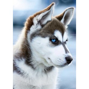 Снежный пес Алмазная мозаика (вышивка) Гранни