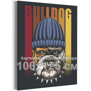 Сторожевой бульдог в шапке Собаки Животные 100х125 Раскраска картина по номерам на холсте