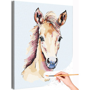 1 Портрет жеребенка Животные Лошади Кони Для детей Детская Раскраска картина по номерам на холсте