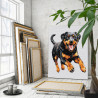 3 Бегущий ротвейлер Животные Собака 80х100 Раскраска картина по номерам на холсте