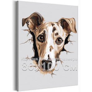 Грейхаунд щенок Животные Собака Английская борзая 80х100 Раскраска картина по номерам на холсте