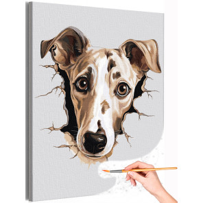 1 Грейхаунд щенок Животные Собака Английская борзая Раскраска картина по номерам на холсте