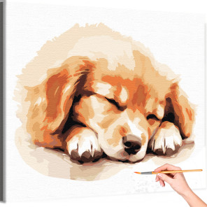 1 Спящий щенок золотистый ретривер Животные Собака Голден Лабрадор Для детей Детская Раскраска картина по номерам на холсте