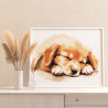 3 Спящий щенок золотистый ретривер Животные Собака Голден Лабрадор Для детей Детская Раскраска картина по номерам на холсте