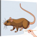 Крыса Животные Для детей Детские Для мальчиков Для девочек Легкая Раскраска картина по номерам на холсте