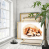3 Спящий щенок золотистый ретривер Животные Собака Голден Лабрадор Для детей Детская 60х80 Раскраска картина по номерам на холст