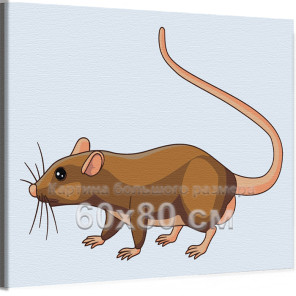 Крыса Животные Для детей Детские Для мальчиков Для девочек Легкая 60х80 Раскраска картина по номерам на холсте