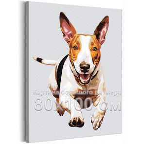 Бегущий бультерьер Животные Собака 80х100 Раскраска картина по номерам на холсте