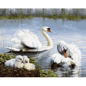 Семья лебедей Раскраска картина по номерам на холсте