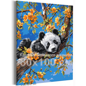 Панда на цветущем дереве Животные Весна Природа Цветы 80х100 Раскраска картина по номерам на холсте