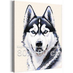 Портрет сибирской хаски Животные Собака Легавая Для детей для подростков Для девочки Для мальчика 80х100 Раскраска картина по но
