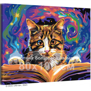 Котик с магической книгой Животные Кошки Котята Мем Магия Фэнтези Для детей Детская Яркая 80х100 Раскраска картина по номерам на