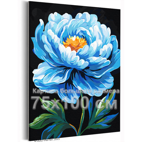 Голубой пион Цветы Лето Для девушки Для женщины Маме Интерьерная Небольшая 75х100 Раскраска картина по номерам на холсте