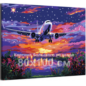 Самолет над цветами на закате Яркая Рассвет Небо Пейзаж Италия 80х100 Раскраска картина по номерам на холсте с неоновыми краскам