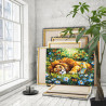 3 Лев спящий на поляне с цветами Животные Хищники Природа Лето Раскраска картина по номерам на холсте
