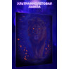 9 Лев на ночной охоте Животные Хищники Портрет Король Яркая Раскраска картина по номерам на холсте