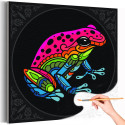 Цветная лягушка с узорами Животные Яркая Интерьерная Коллекция дудлинг 40х40 Раскраска картина по номерам на холсте