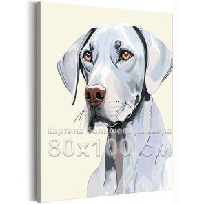Портрет веймаранера Животные Собака Легавая Для детей для подростков Для девочки Для мальчика 80х100 Раскраска картина по номера