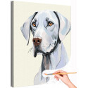 Портрет веймаранера Животные Собака Легавая Для детей для подростков Для девочки Для мальчика Раскраска картина по номерам на холсте