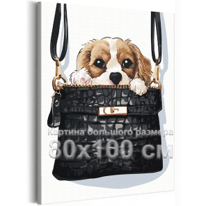 Щенок в сумке Животные Собака Спаниель Смешная Интерьерная 80х100 Раскраска картина по номерам на холсте