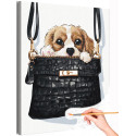 Щенок в сумке Животные Собака Спаниель Смешная Интерьерная Раскраска картина по номерам на холсте