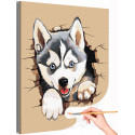 Щенок сибирской хаски Животные Собака Лайка Раскраска картина по номерам на холсте