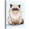 Персидская голубоглазая кошка Животные Котята Коты Для детей Детская Для мальчика Для девочки 60х80 Раскраска картина по номерам