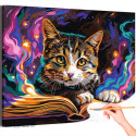 Котик с книгой Животные Кошки Коты Мем Магия Фэнтези Яркая Раскраска картина по номерам на холсте