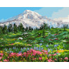  Альпийские луга Раскраска картина по номерам на холсте Белоснежка 325-AB