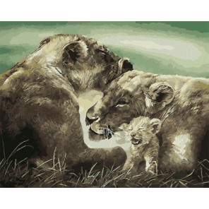 Семья львов Раскраска картина по номерам на холсте