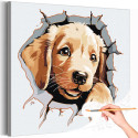 Щенок золотистого ретривера Животные Собака Лабрадор Голден Раскраска картина по номерам на холсте