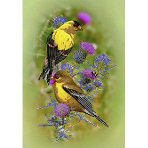  Птицы на репейнике Канва с рисунком для вышивки бисером Вышиваем бисером ПР32