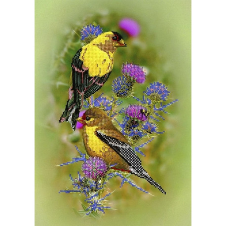  Птицы на репейнике Канва с рисунком для вышивки бисером Вышиваем бисером ПР32