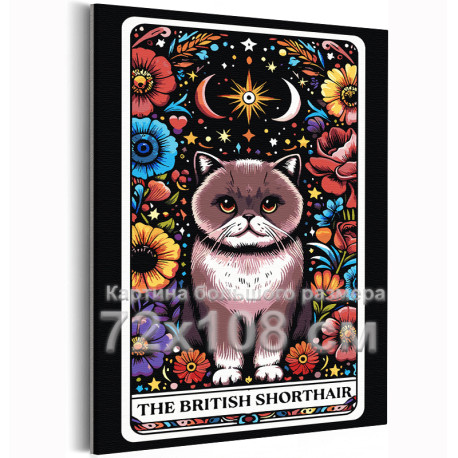 Британский кот в цветах Таро Животные Кошки Котики Котята Британец Эзотерика Звездное небо Луна Стильная 72х108 Раскраска картин