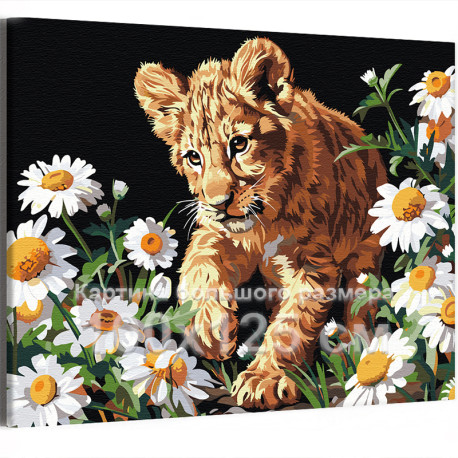 Крадущийся львенок в ромашках Животные Лев Малыш Природа Цветы 100х125 Раскраска картина по номерам на холсте