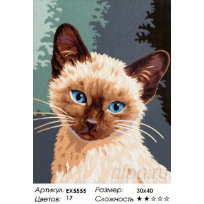 Котенок Гав Раскраска картина по номерам акриловыми красками на холсте