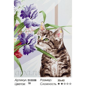 Котенок с ирисами Раскраска картина по номерам акриловыми красками на холсте