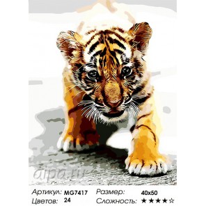 Маленький тигренок Раскраска картина по номерам акриловыми красками на холсте Menglei