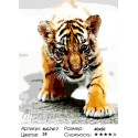 Маленький тигренок Раскраска картина по номерам на холсте Menglei